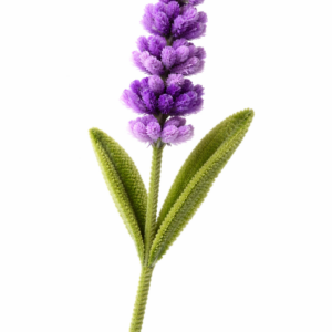 Lavanda de limpiapipas